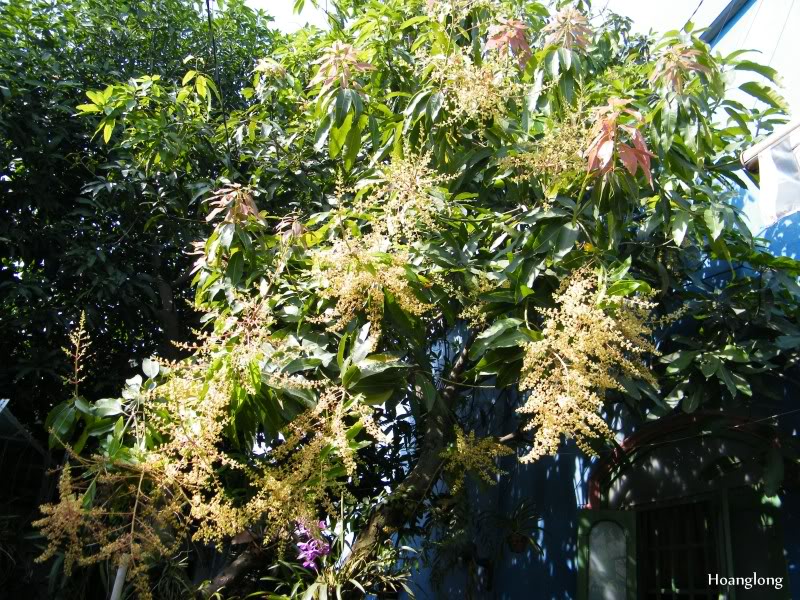DSCF2750.jpg