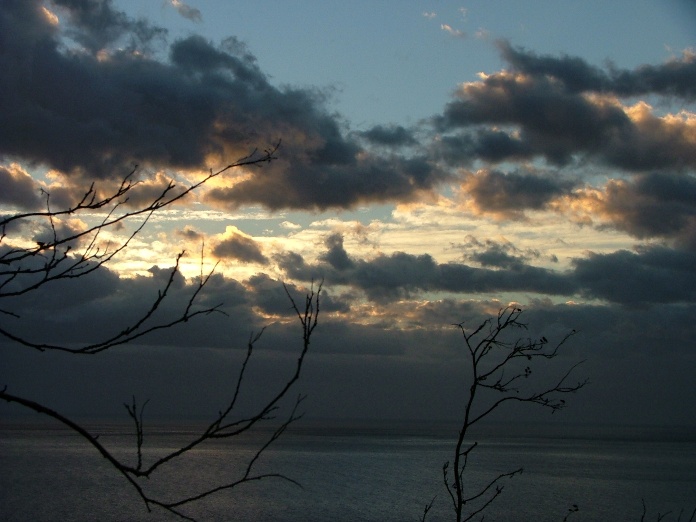 DSCF2750.JPG