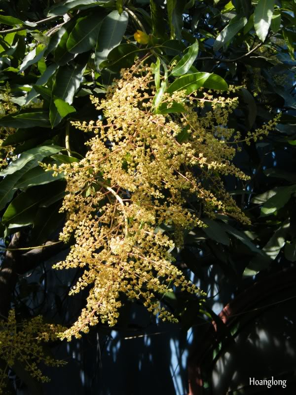DSCF2752.jpg