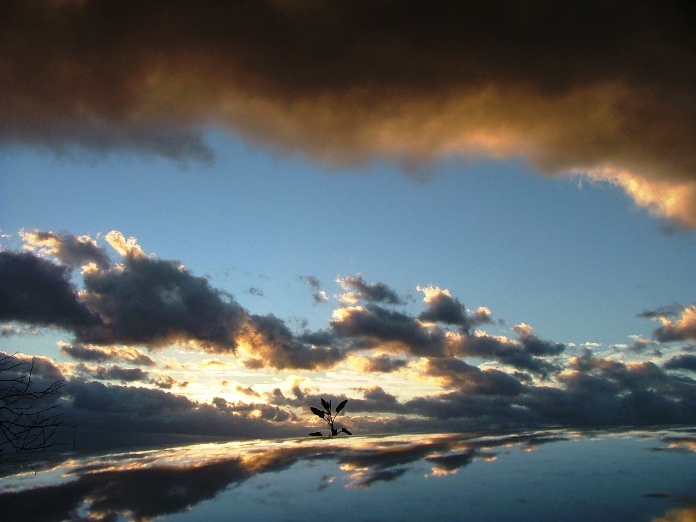 DSCF2755.JPG