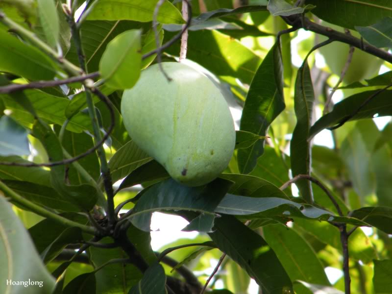 DSCF2758.jpg