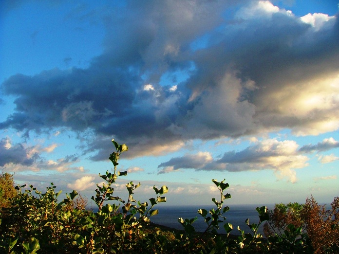DSCF2800.JPG