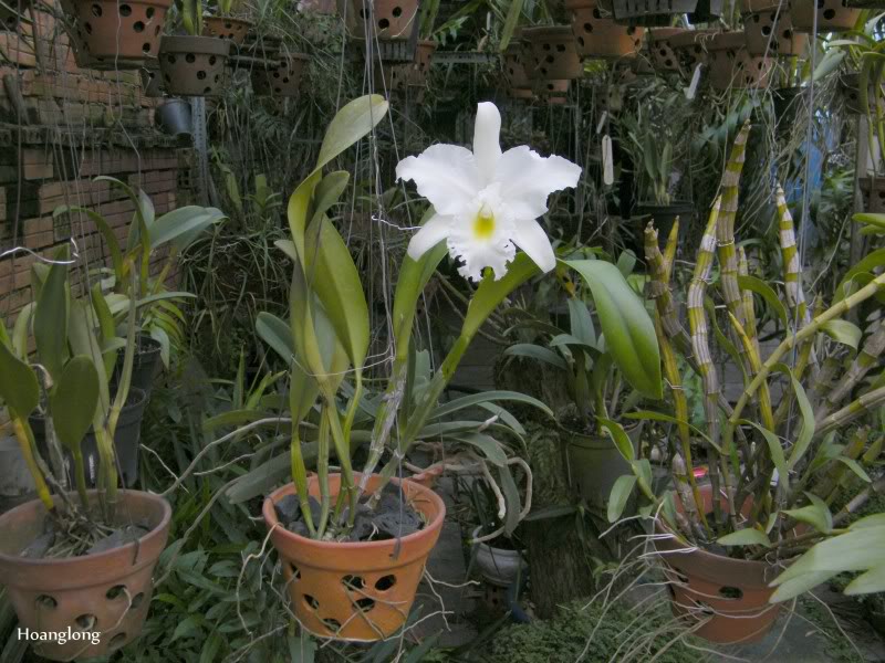 DSCF2801.jpg