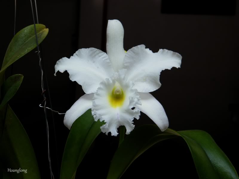 DSCF2822.jpg