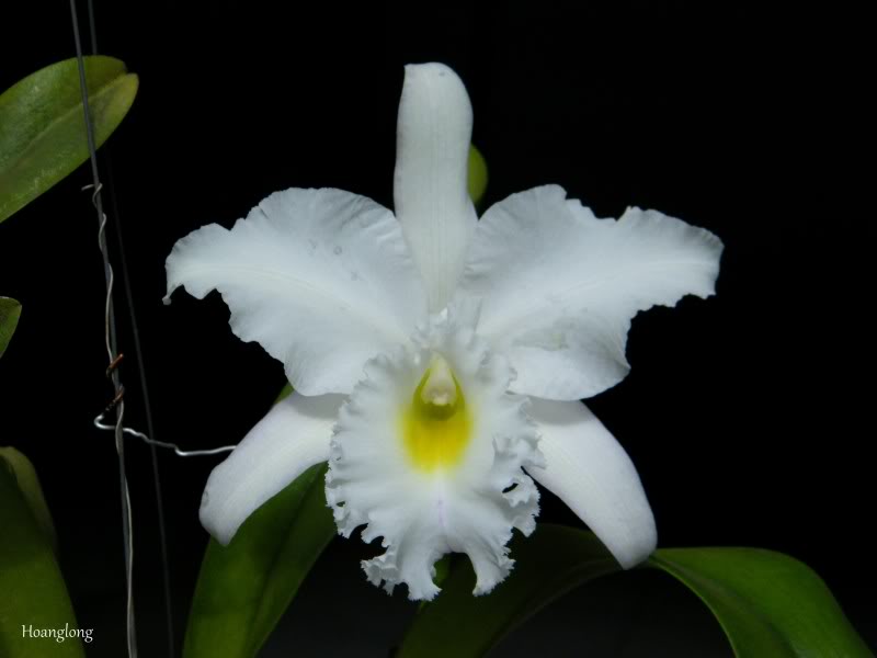 DSCF2832.jpg