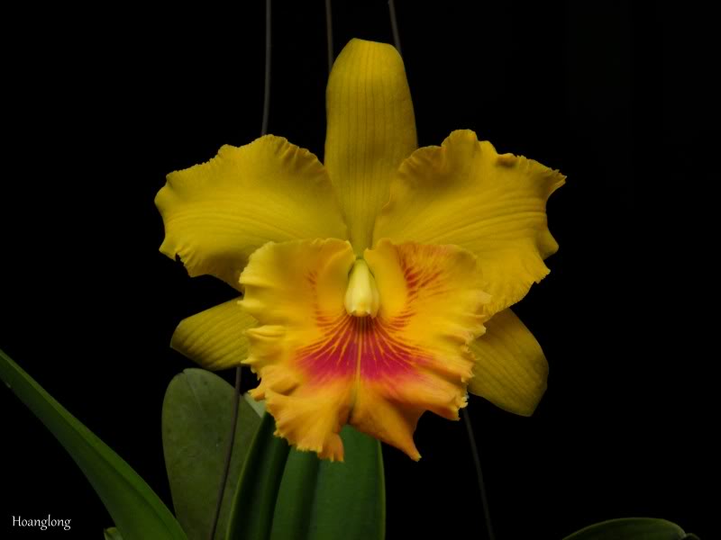 DSCF2853.jpg