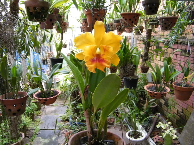 DSCF2870.jpg