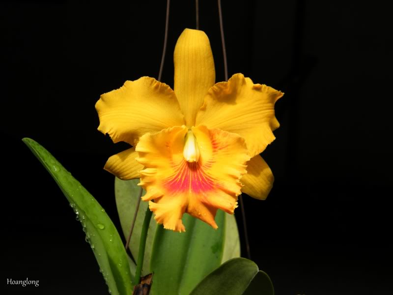 DSCF2905.jpg