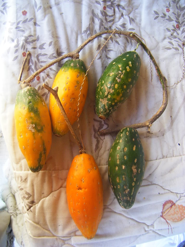 DSCF2919.jpg