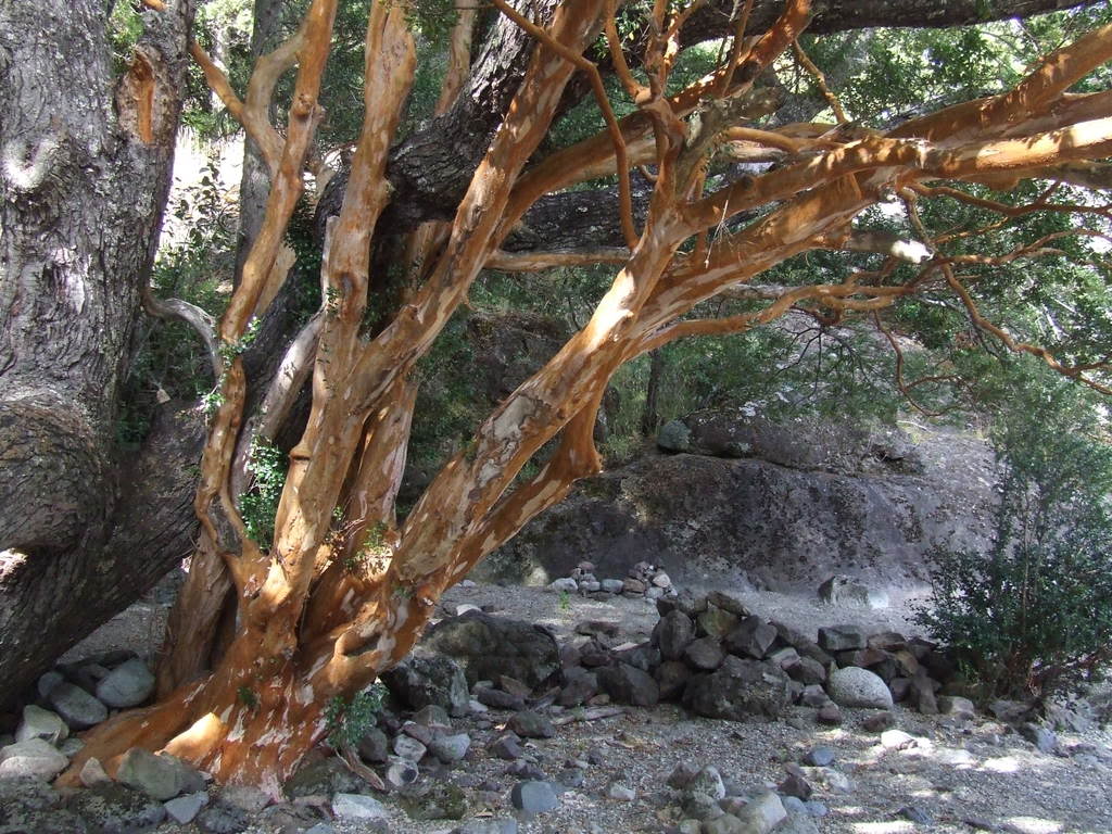 DSCF2961.jpg