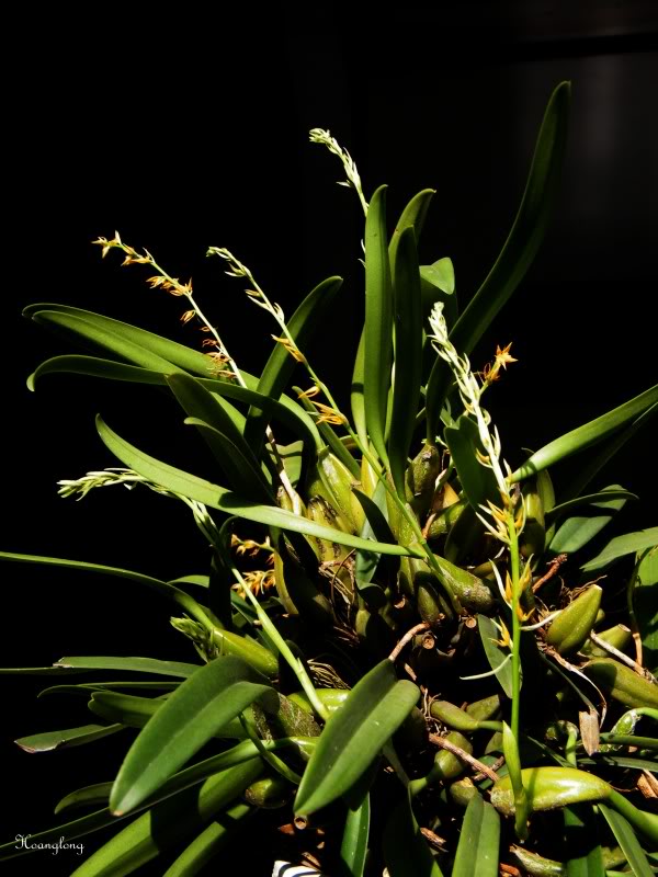 DSCF2983.jpg