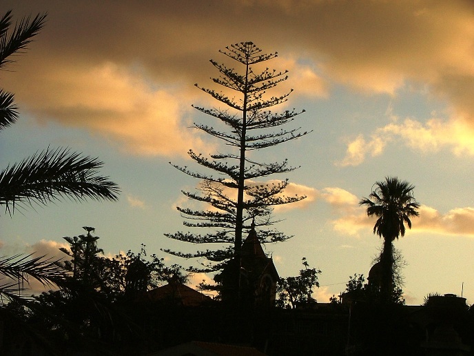 DSCF2991.JPG