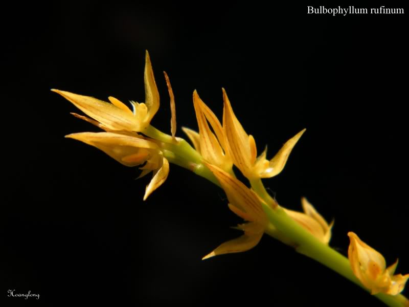 DSCF3033.jpg
