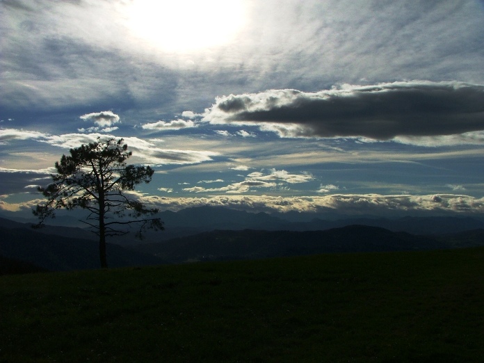 DSCF3041_Cielo.JPG