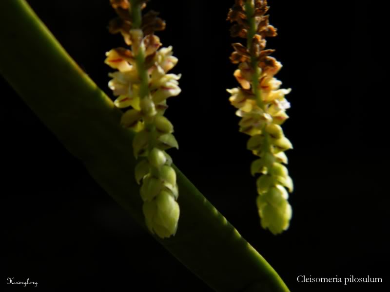 DSCF3055.jpg