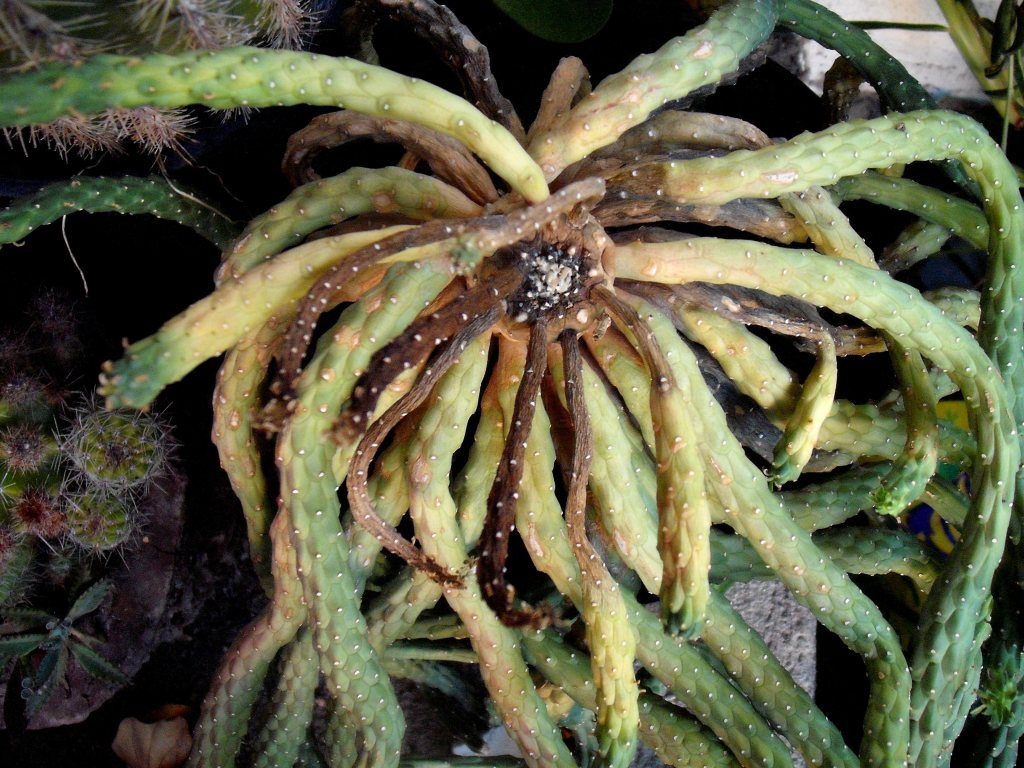 DSCF3056.jpg