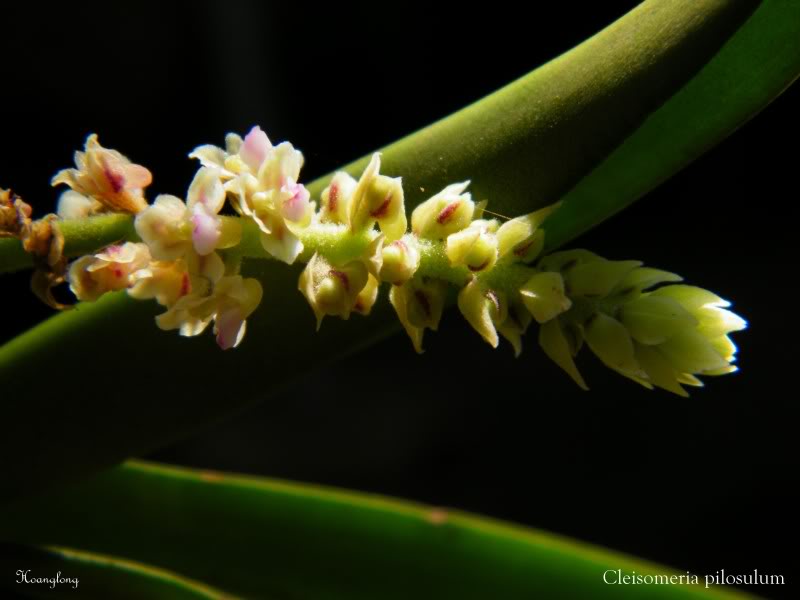 DSCF3058.jpg