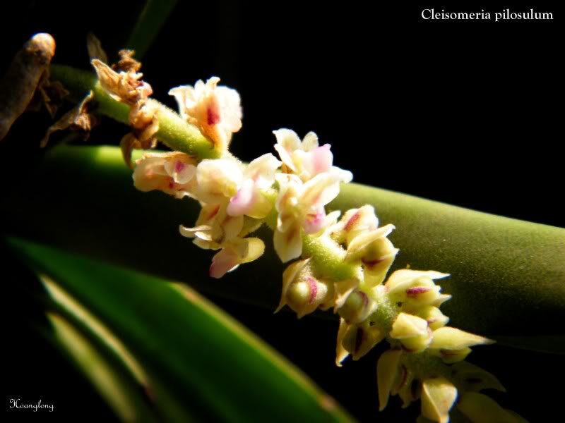 DSCF3060.jpg