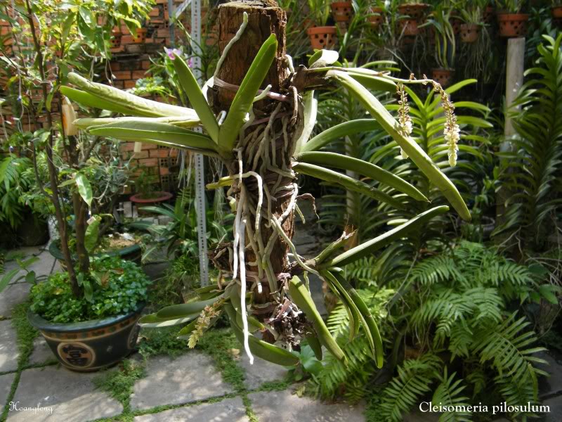 DSCF3068.jpg