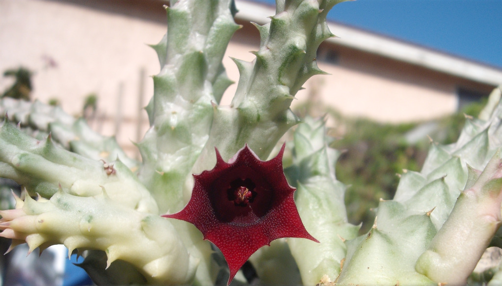 DSCF3069.jpg