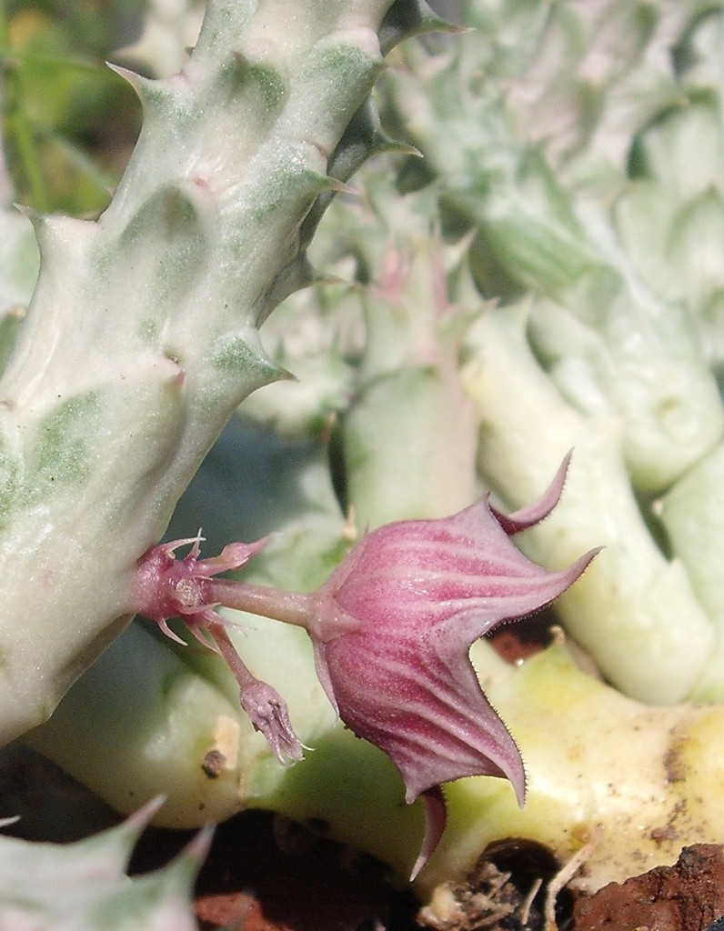 DSCF3071.jpg