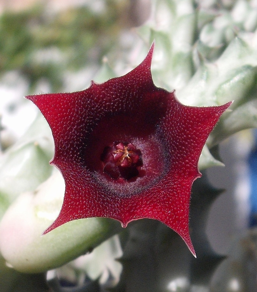 DSCF3076.jpg