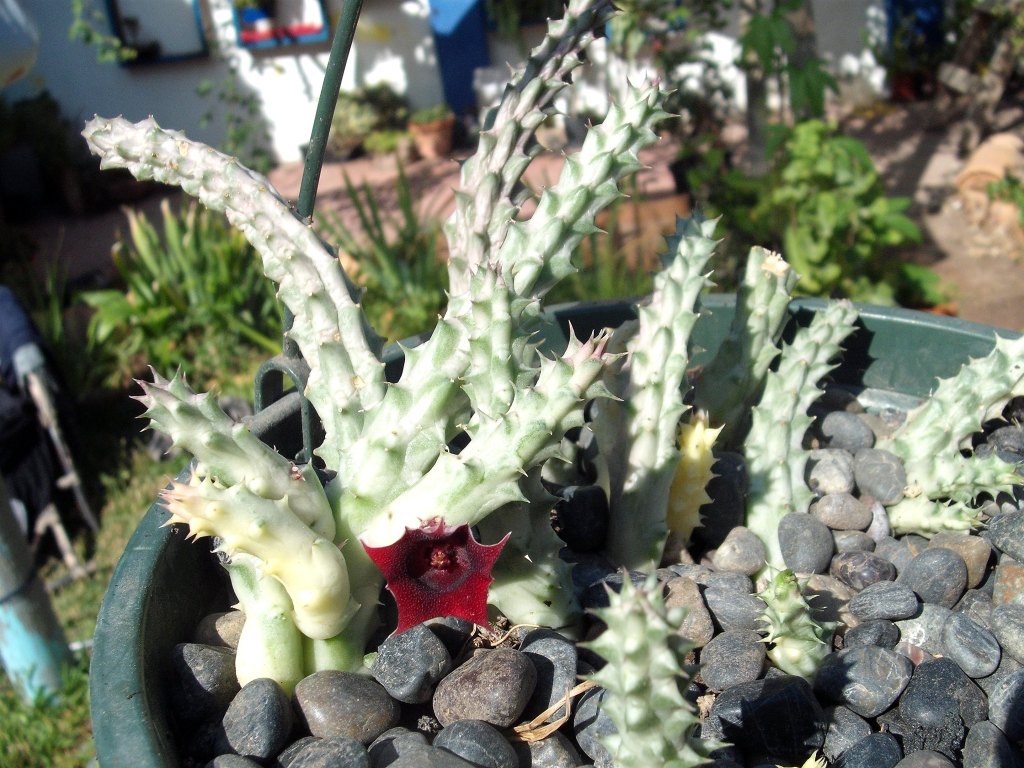 DSCF3079.jpg