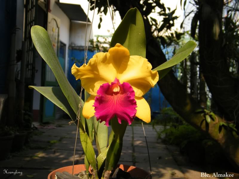 DSCF3120.jpg