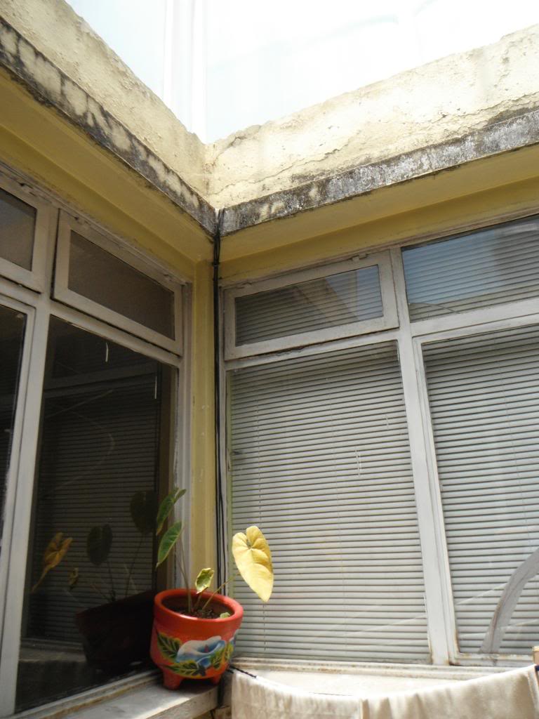 DSCF3128_zpsa0512c77.jpg