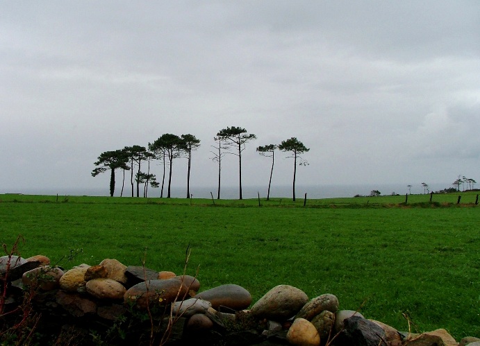 DSCF3143Cielo.JPG