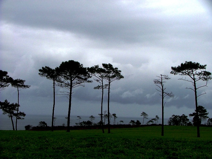 DSCF3145_cielo.JPG