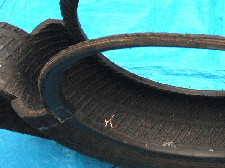 DSCF3148.gif