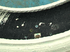 DSCF31571.gif