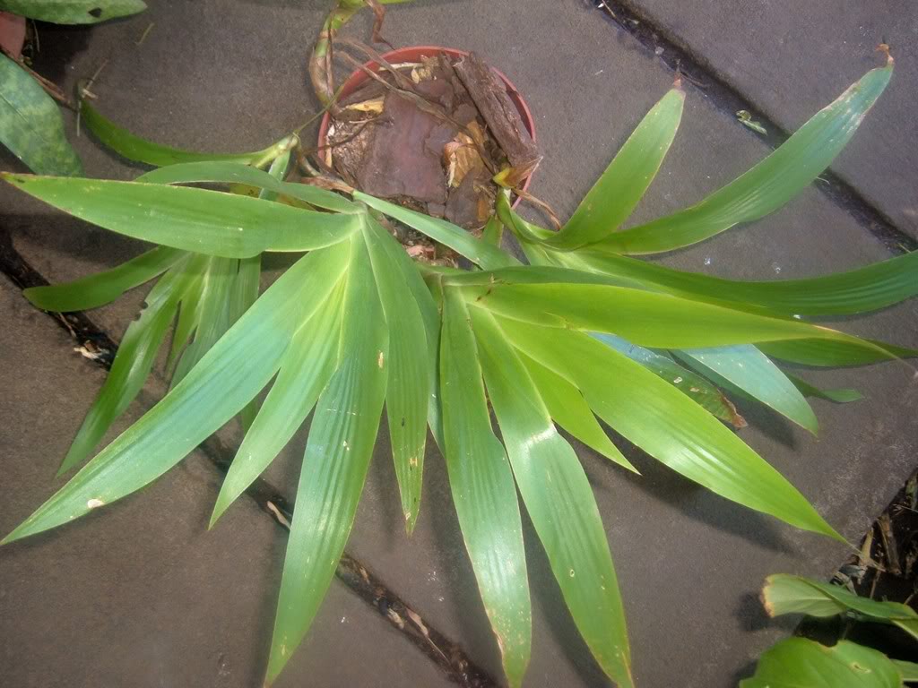 DSCF3158.jpg