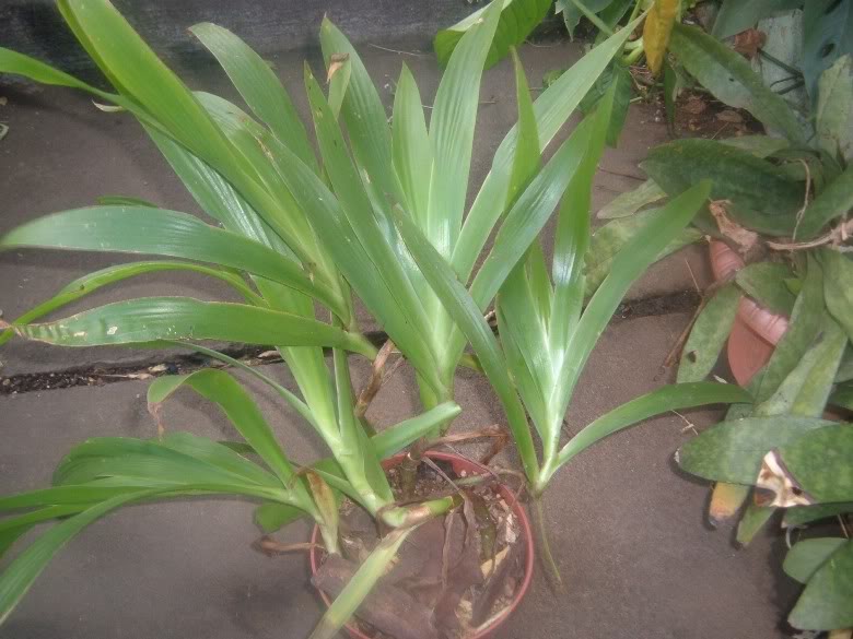 DSCF3159.jpg