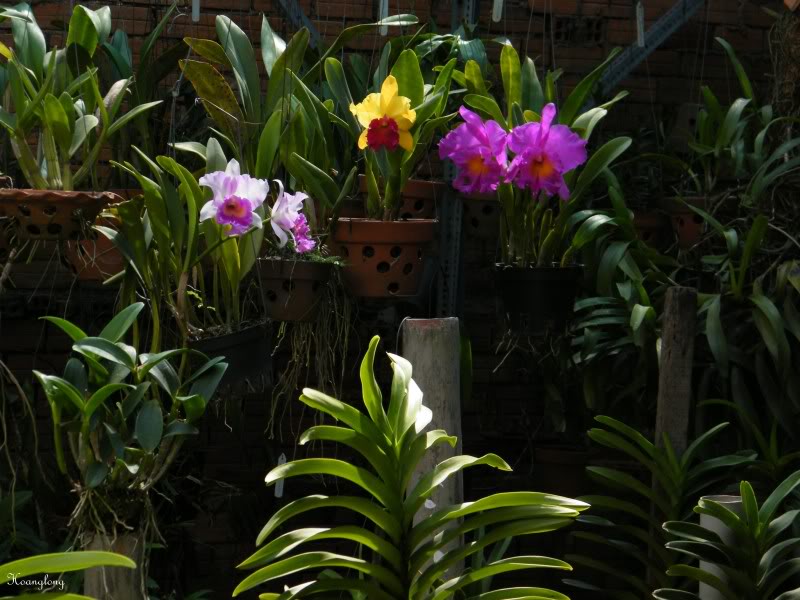 DSCF3186.jpg