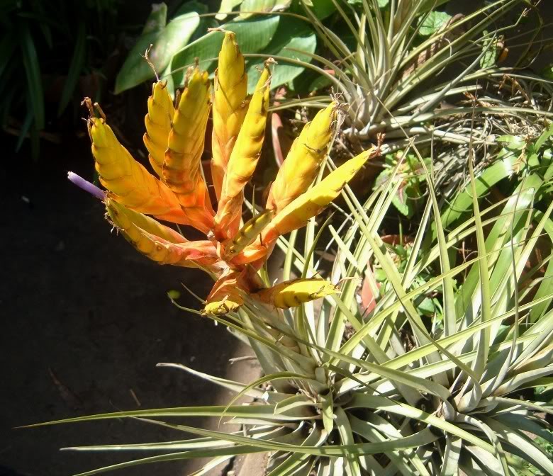DSCF3192.jpg