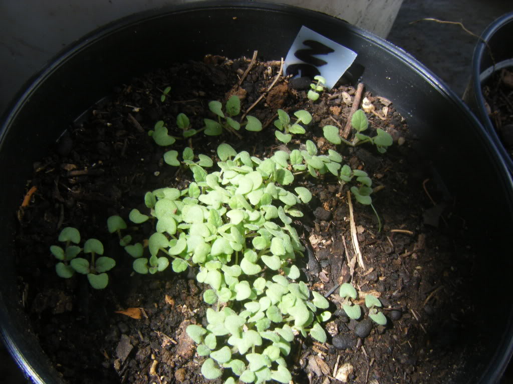 DSCF3285.jpg