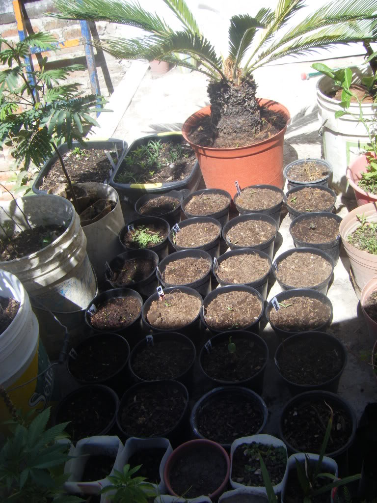 DSCF3286.jpg