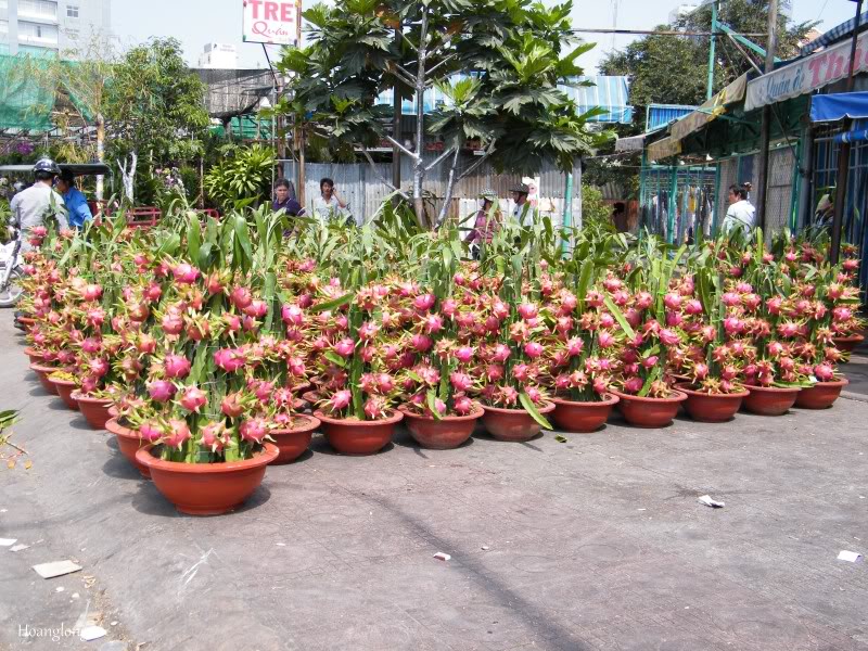 DSCF3433.jpg