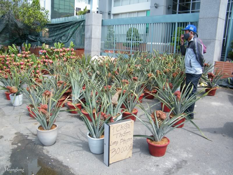 DSCF3438-1.jpg