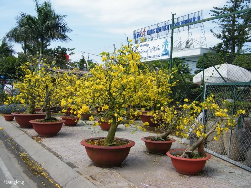 DSCF3439.jpg