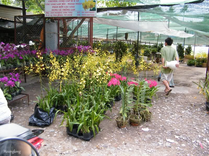DSCF3440.jpg