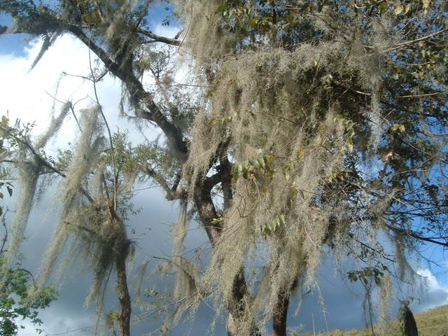 DSCF3441.jpg