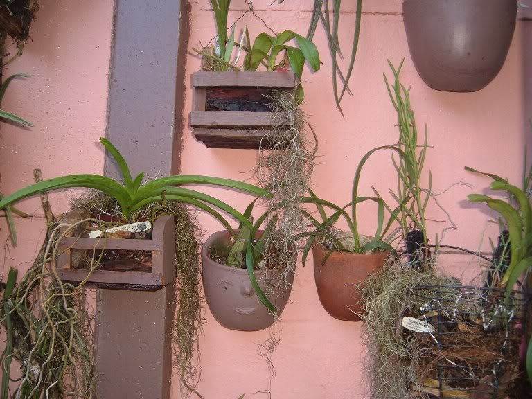 DSCF3482.jpg