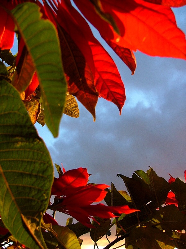 DSCF3507.JPG