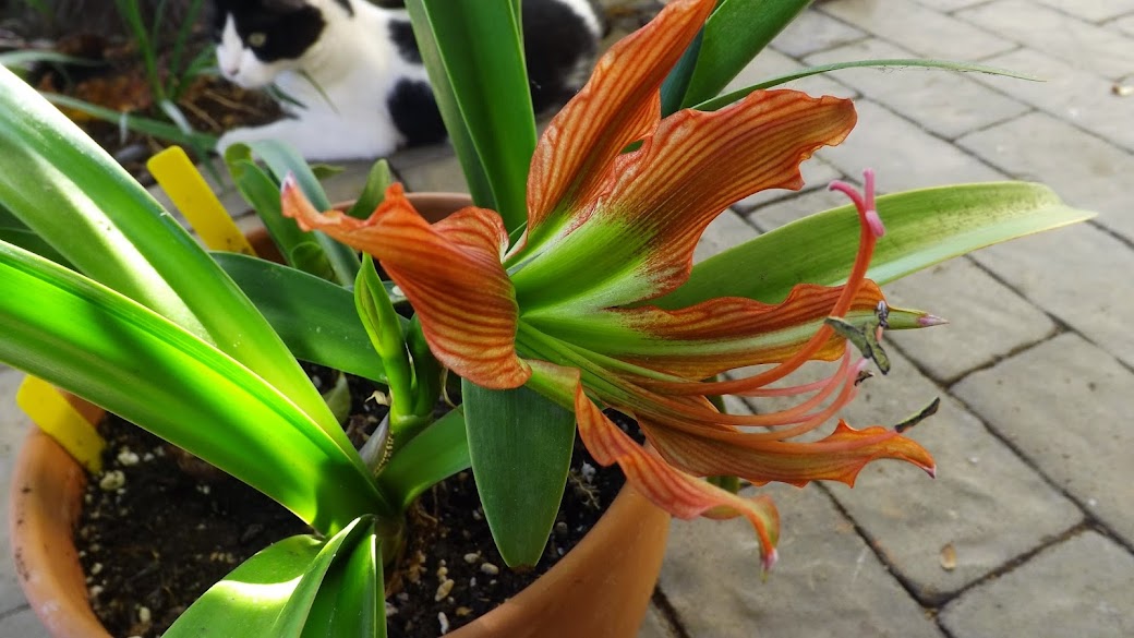 DSCF3512.JPG