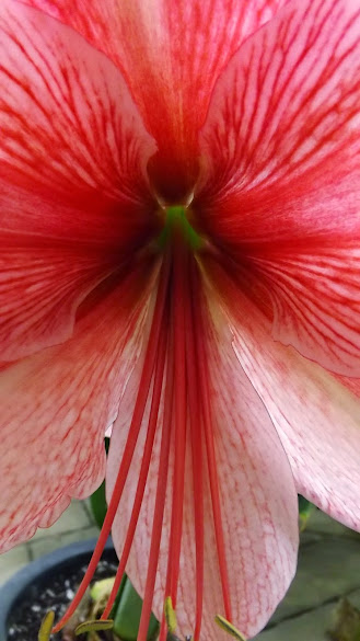 DSCF3536.JPG