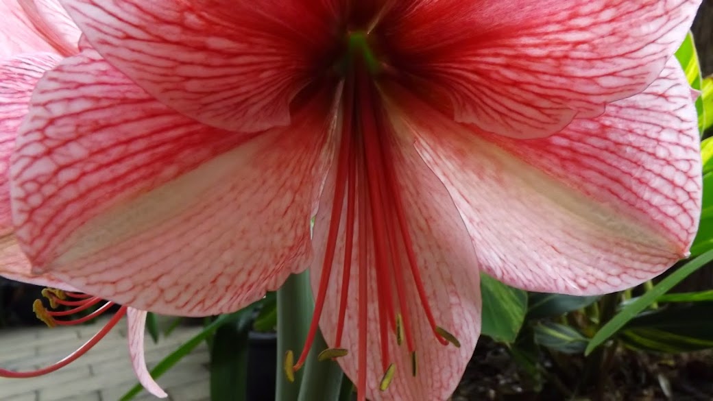 DSCF3539.JPG