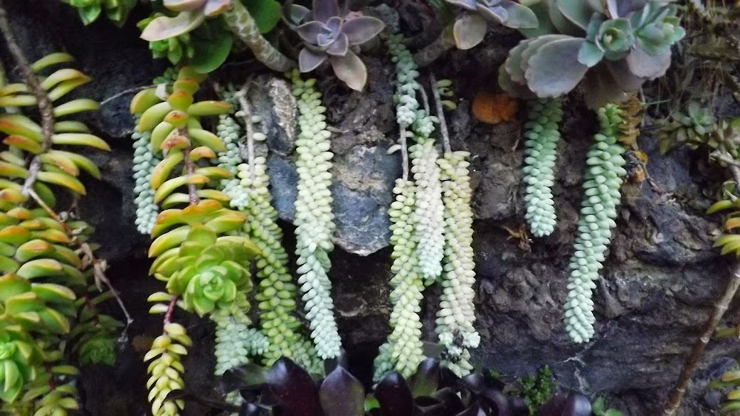 DSCF3553.JPG